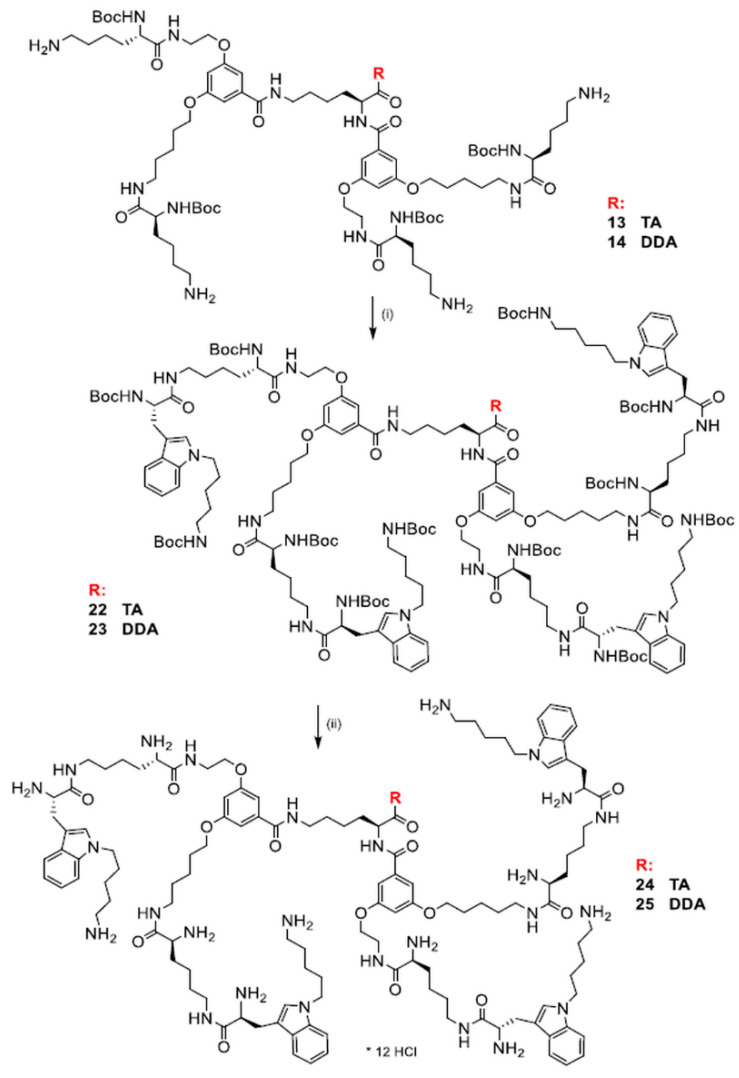 Scheme 5