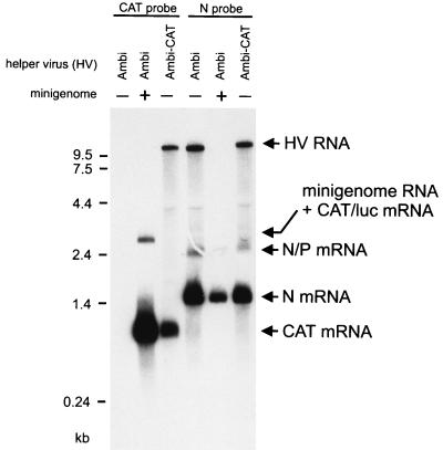 FIG. 5