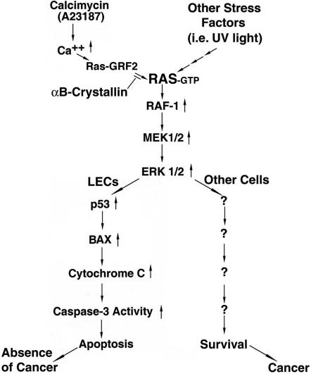 Figure 9.