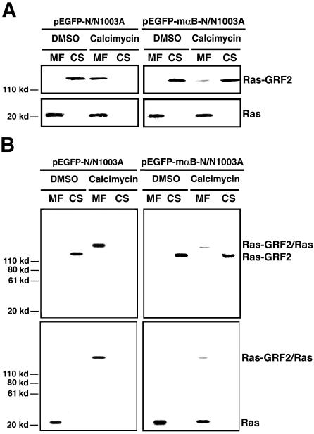 Figure 6.