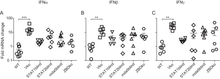 FIG 7