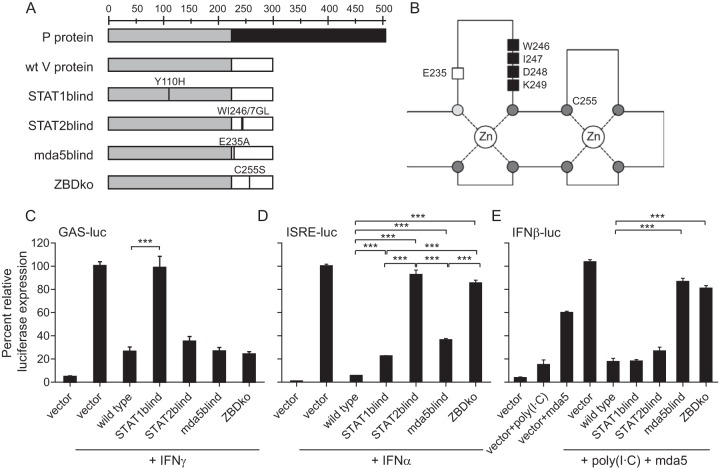 FIG 2