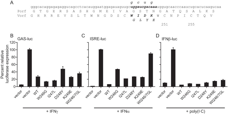 FIG 1