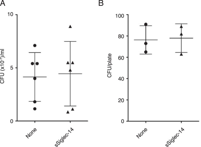 Figure 11.