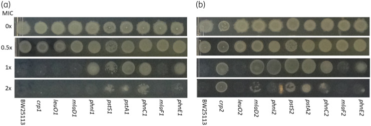 Figure 3.