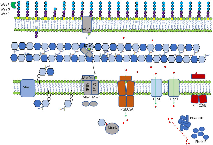 Figure 4.