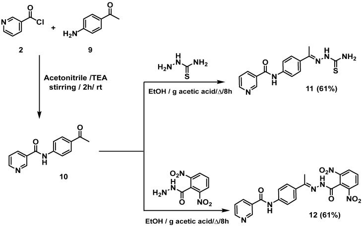 Scheme 2