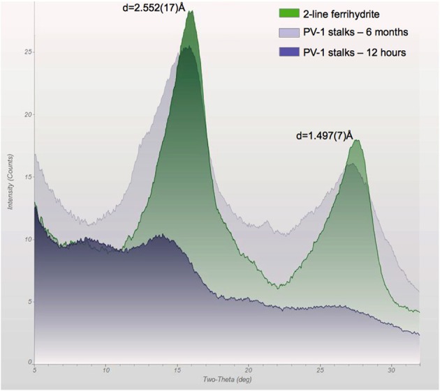 Figure 10