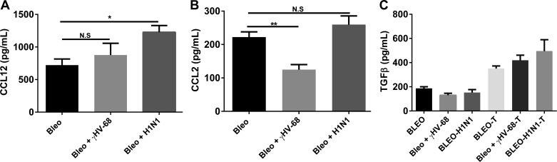 Fig. 9.