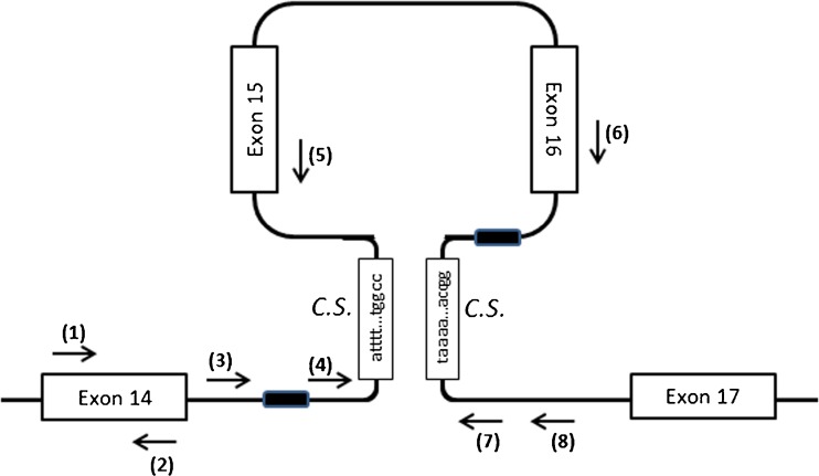 Fig. 4