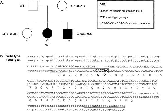 Figure  3