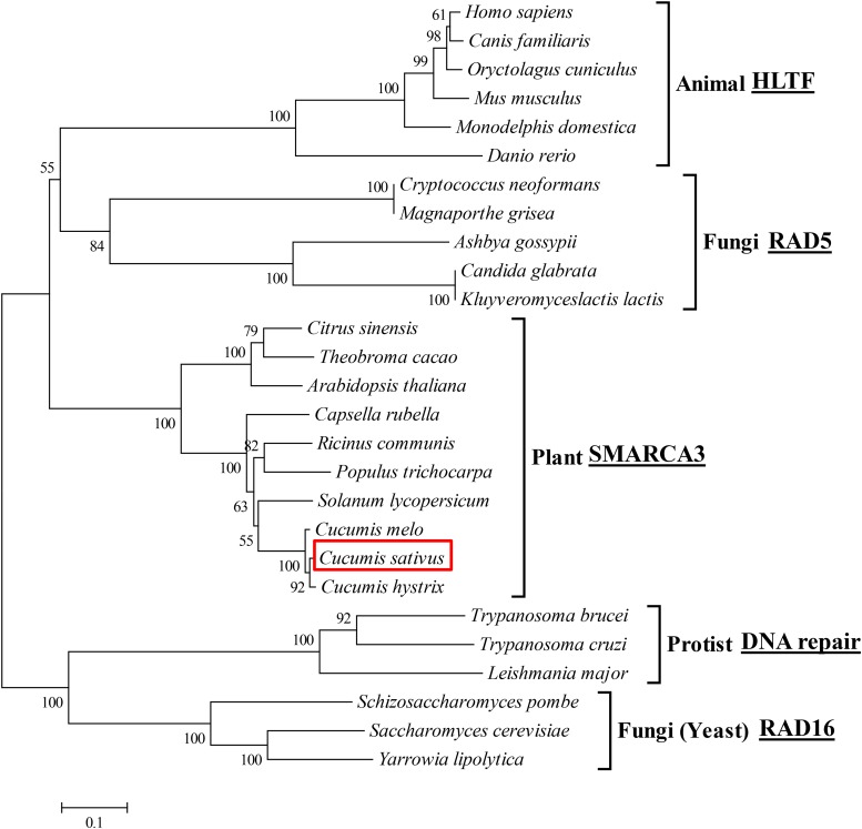 Figure 5.