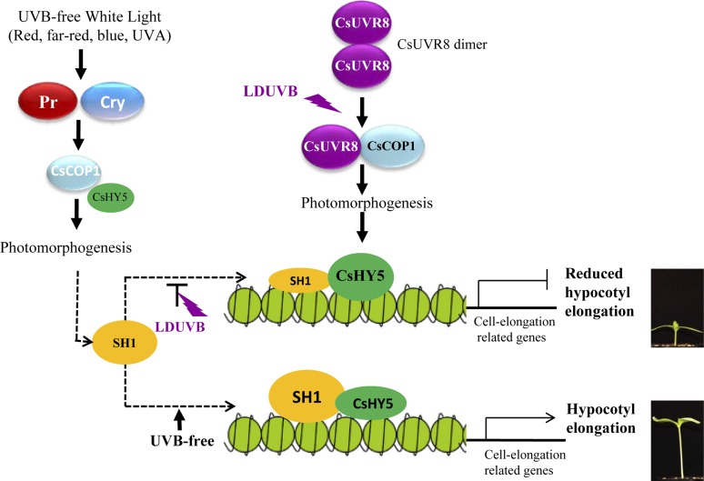 Figure 10.