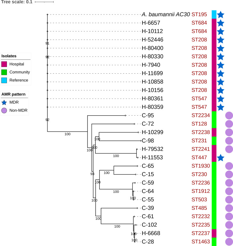 Fig. 2.