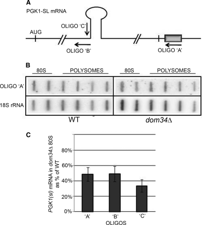 FIG. 7.