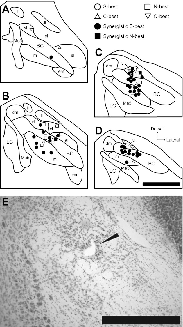 Fig. 8.