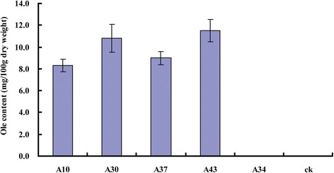 Fig. 8