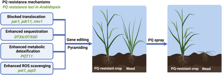 Figure 2