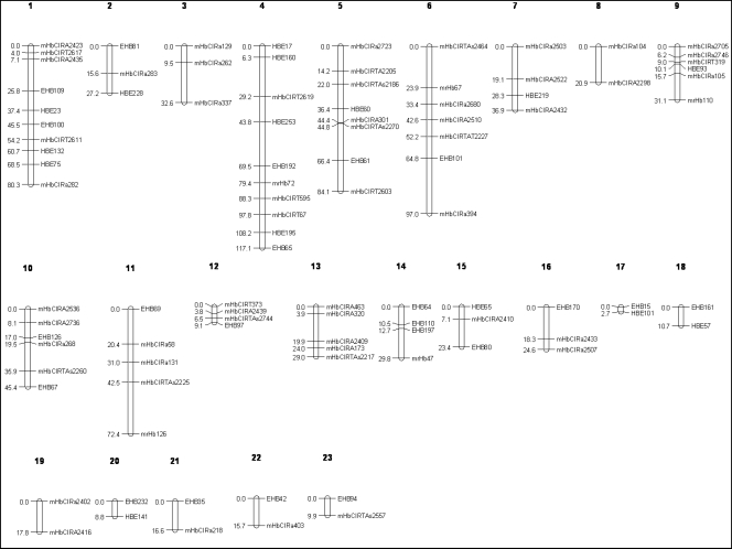 Figure 4.