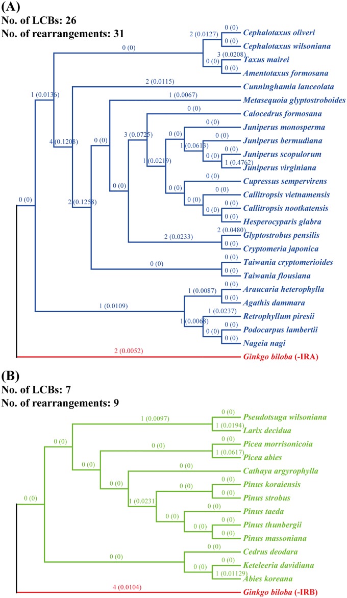 Fig 2