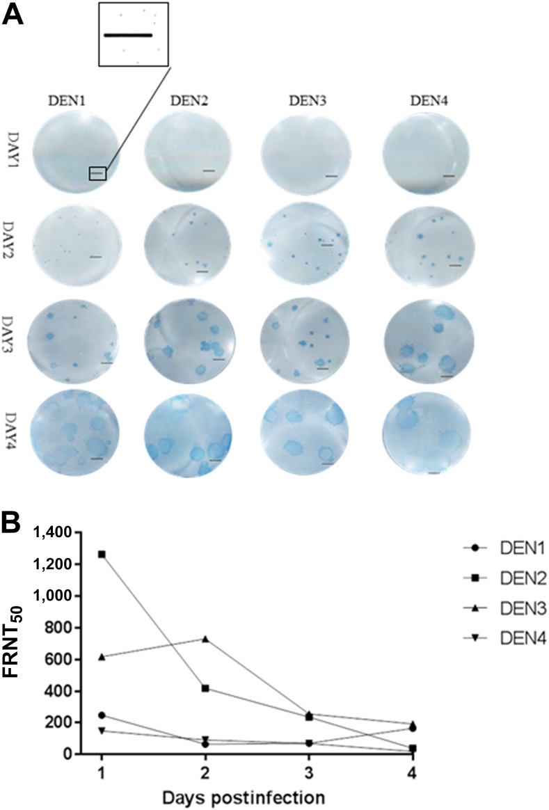 Figure 3.