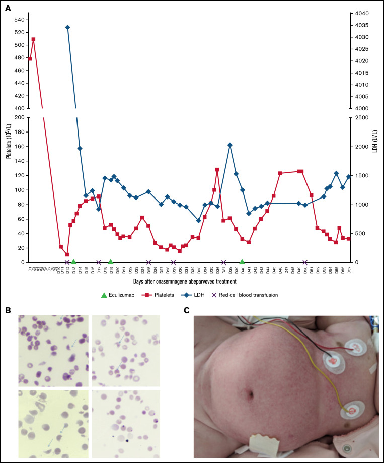 Figure 1.