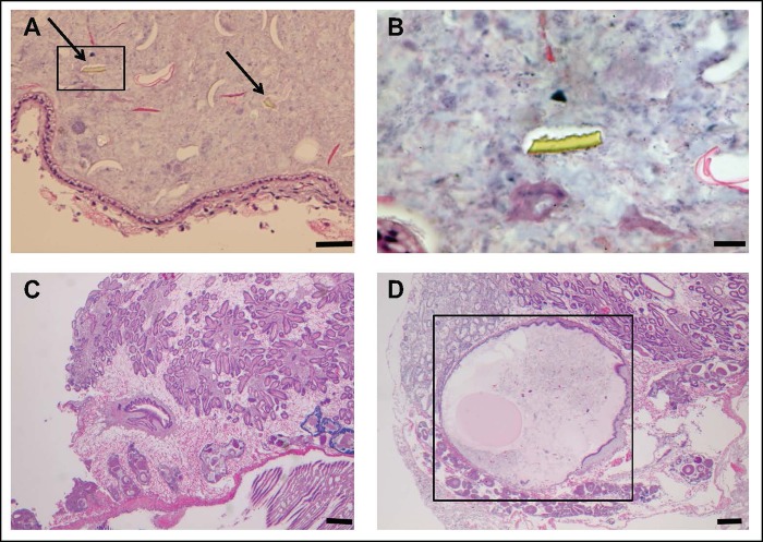 Fig 2