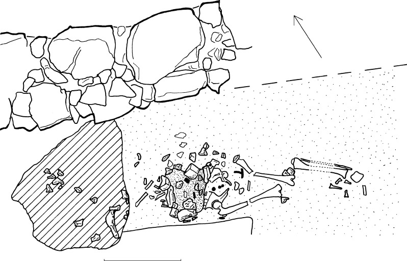 Fig 8