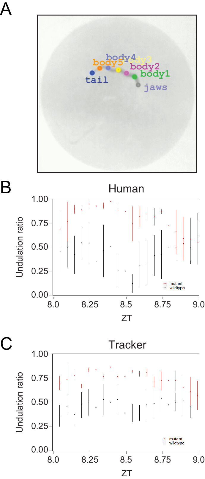 Figure 6—figure supplement 3.