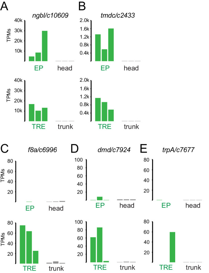 Figure 2—figure supplement 1.