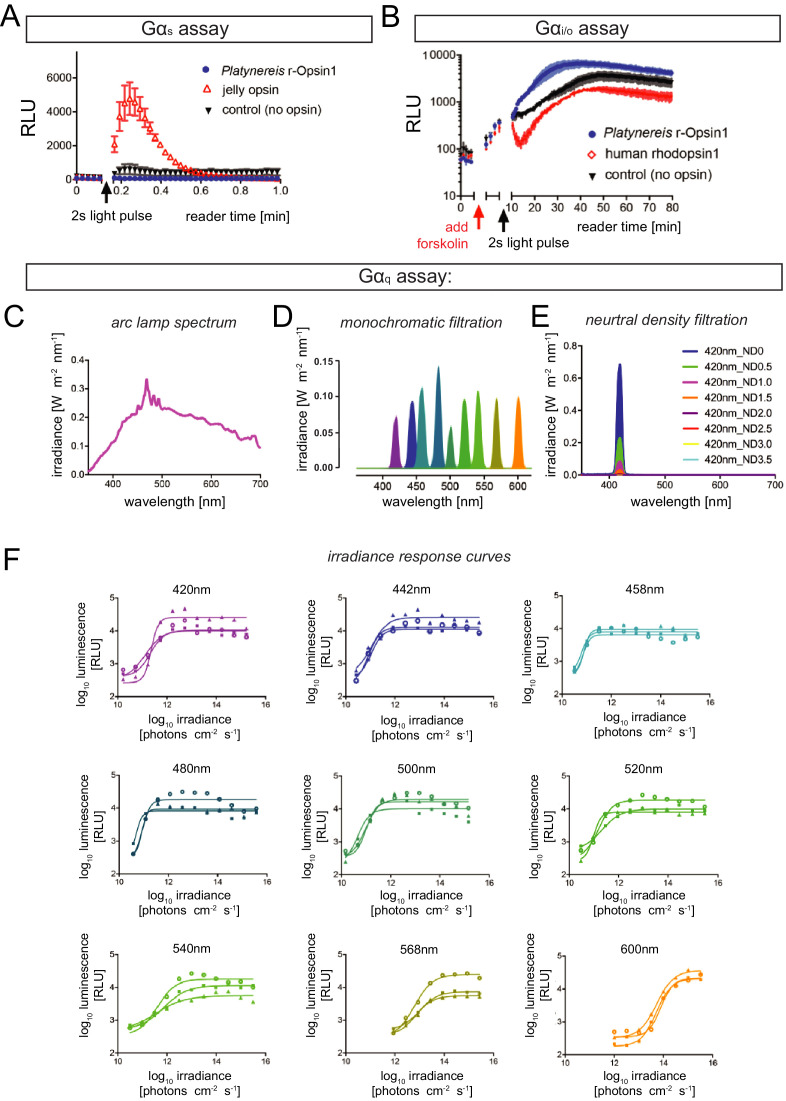 Figure 5—figure supplement 1.