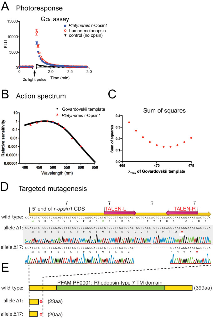 Figure 5.