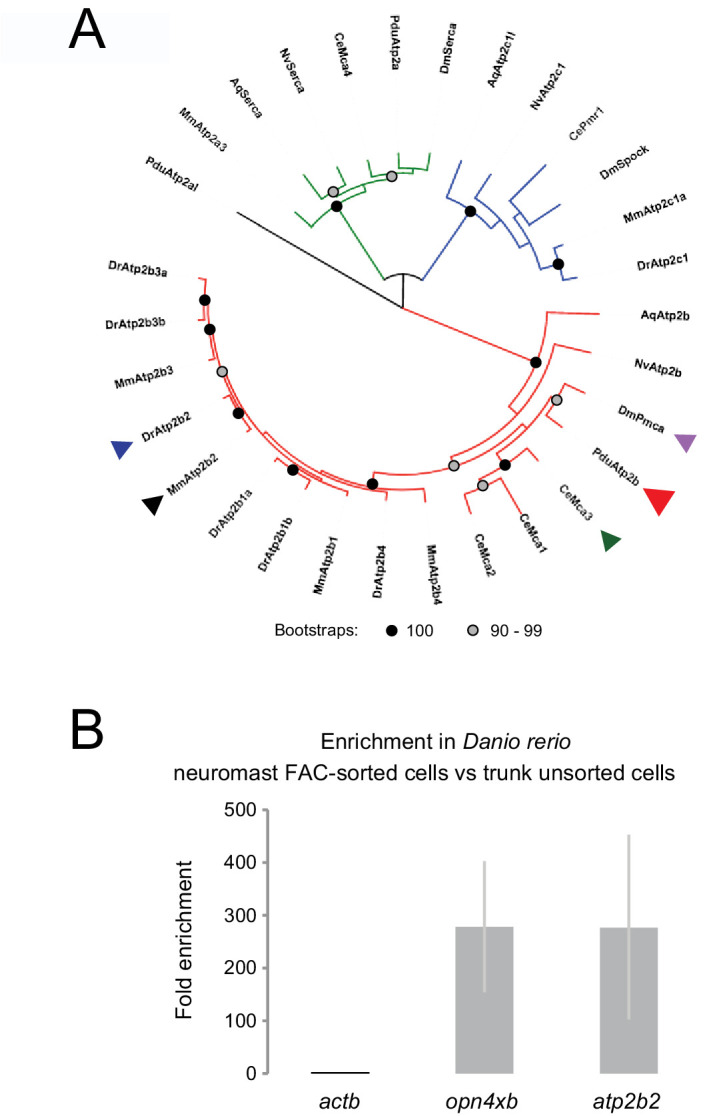 Figure 6—figure supplement 1.