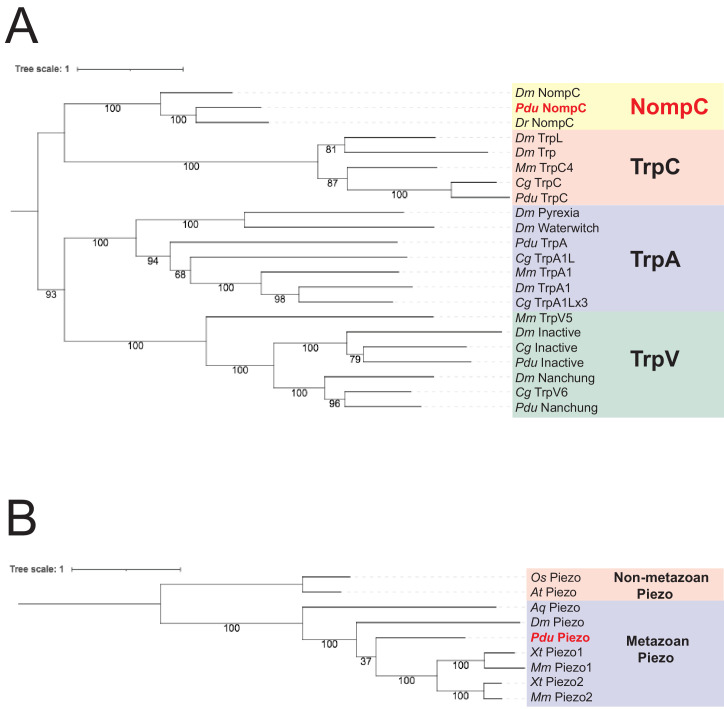 Figure 4—figure supplement 1.