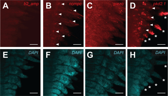 Figure 4—figure supplement 4.