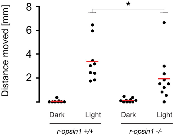 Figure 6—figure supplement 2.