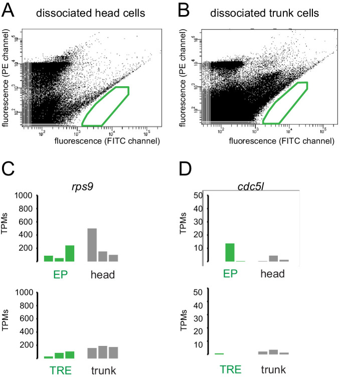 Figure 1—figure supplement 1.