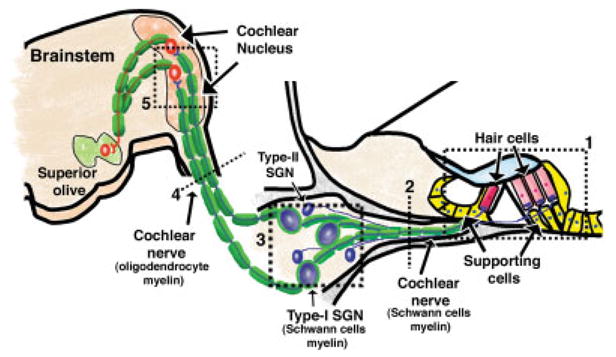 Fig. 2