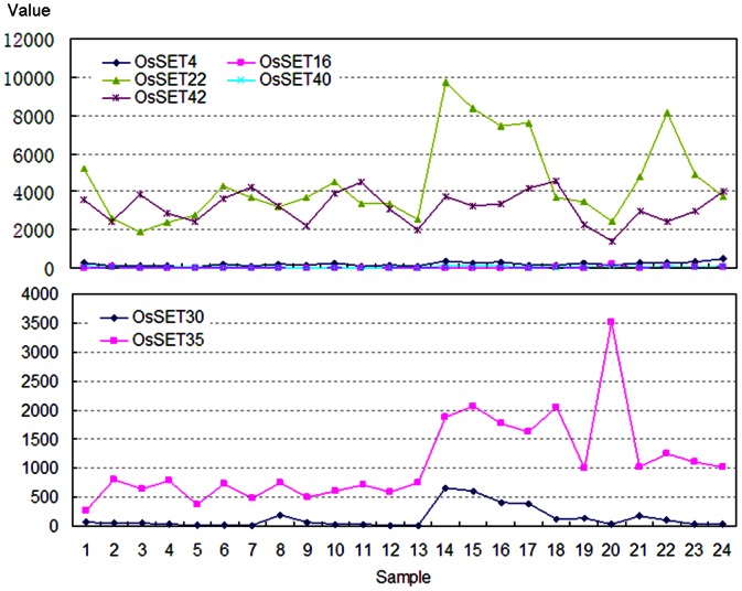 Figure 7