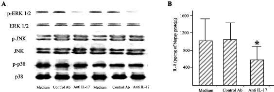 FIG. 8.