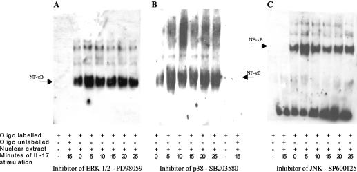 FIG. 5.