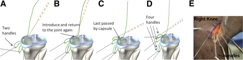 Fig 3