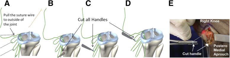 Fig 4