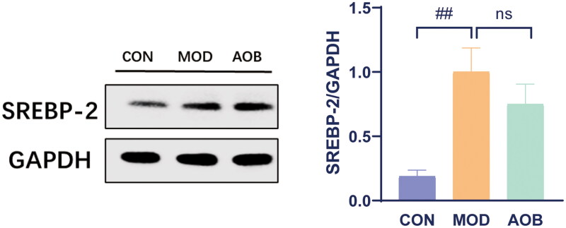 Figure 9.