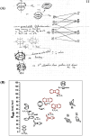 Figure 25