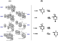 Figure 22