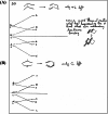 Figure 35