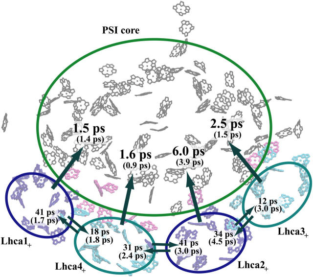 FIGURE 4