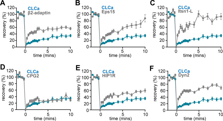 Figure 5—figure supplement 1.