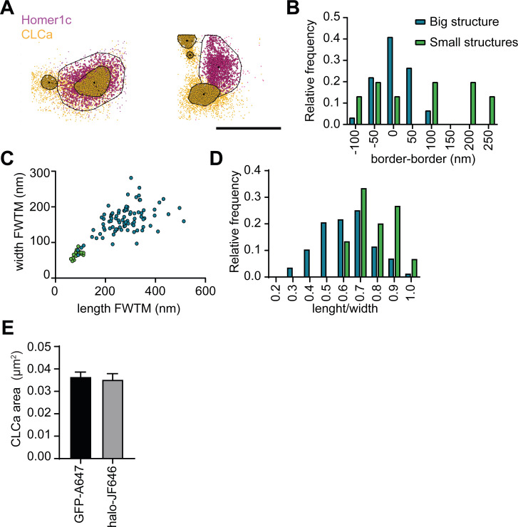 Figure 3—figure supplement 1.